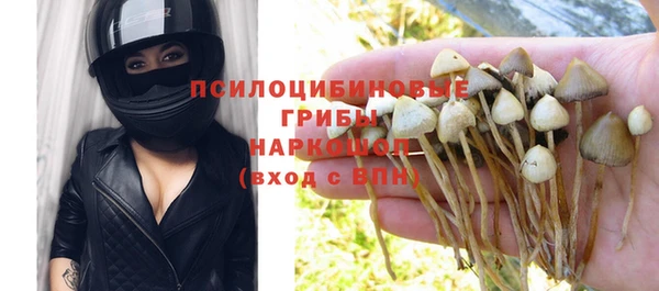 ПСИЛОЦИБИНОВЫЕ ГРИБЫ Алексеевка