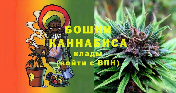 ПСИЛОЦИБИНОВЫЕ ГРИБЫ Алексеевка