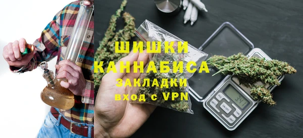 шишки Каменка