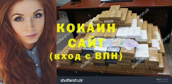 стаф Алексин