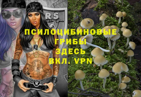 стаф Алексин