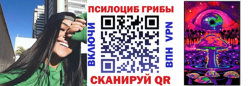 купить наркоту  hydra ONION  Псилоцибиновые грибы MAGIC MUSHROOMS  Ижевск 