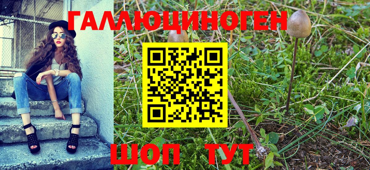 Галлюциногенные грибы Psilocybine cubensis Ижевск